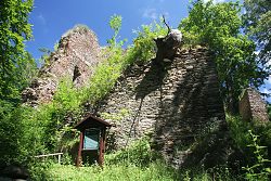 Pajrek