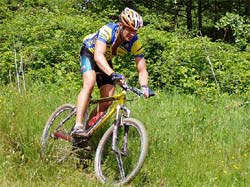 Okolí Nýrska - království pro cykloturistiku