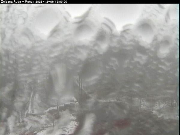 08.12.2025 - 12:00 08.12.2025 - 12:00