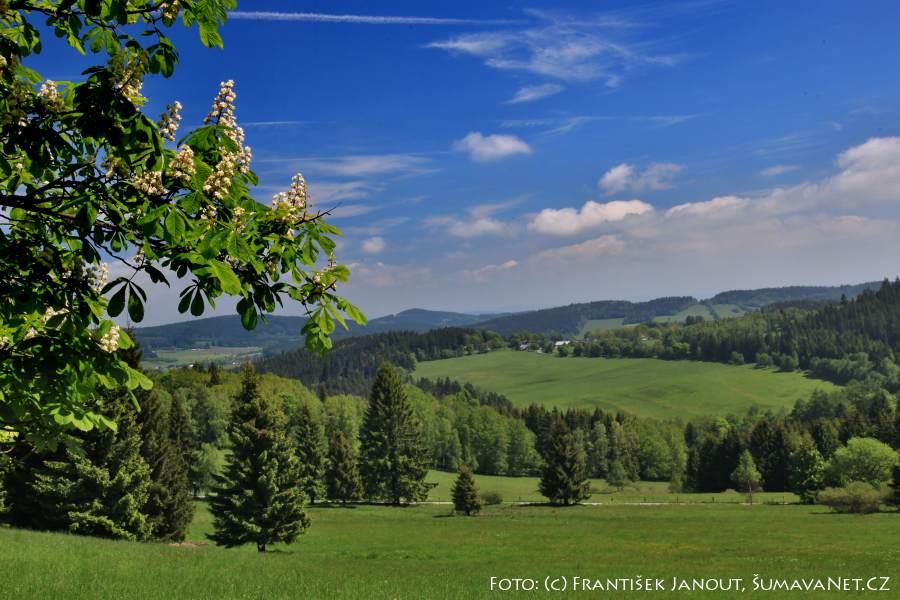 Z malebné horské pastviny nad Včelnou se otvírá pohled do šumavského předhůří na sever od Boubína.